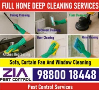 Deep Cleaning & House Cleaning Services | Pest Control Solutions